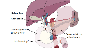 Abb 2a