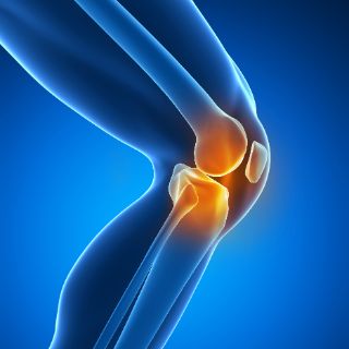 gf-knie-shutterstock