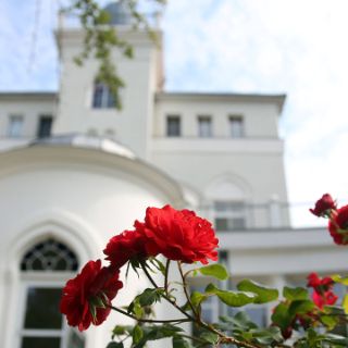 Asklepios Klinik Birkenwerder, Rose 