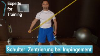 schulter-impingement