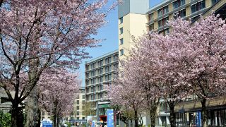 Asklepios Klinik St. Georg